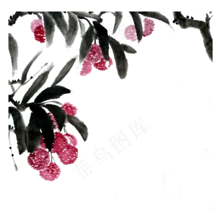 水果鲜果妃子笑国画水墨PNG