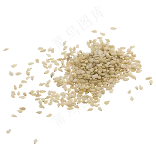 白芝麻特写,免抠元素