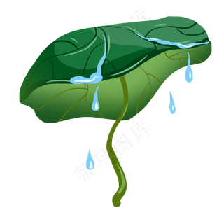 夏日荷叶水彩清新风