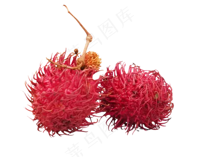 红毛丹热带水果