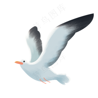 灰色飞翔的海鸥元素,免抠元素