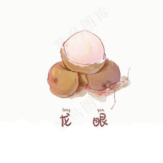 手绘彩色水果龙眼装饰画