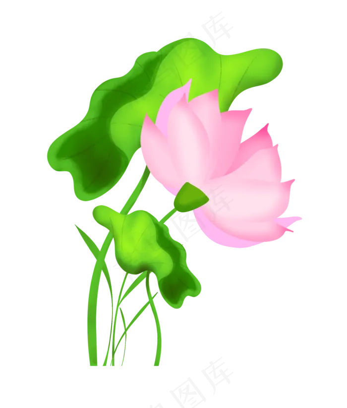 新古风立夏荷花
