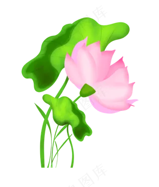 新古风立夏荷花