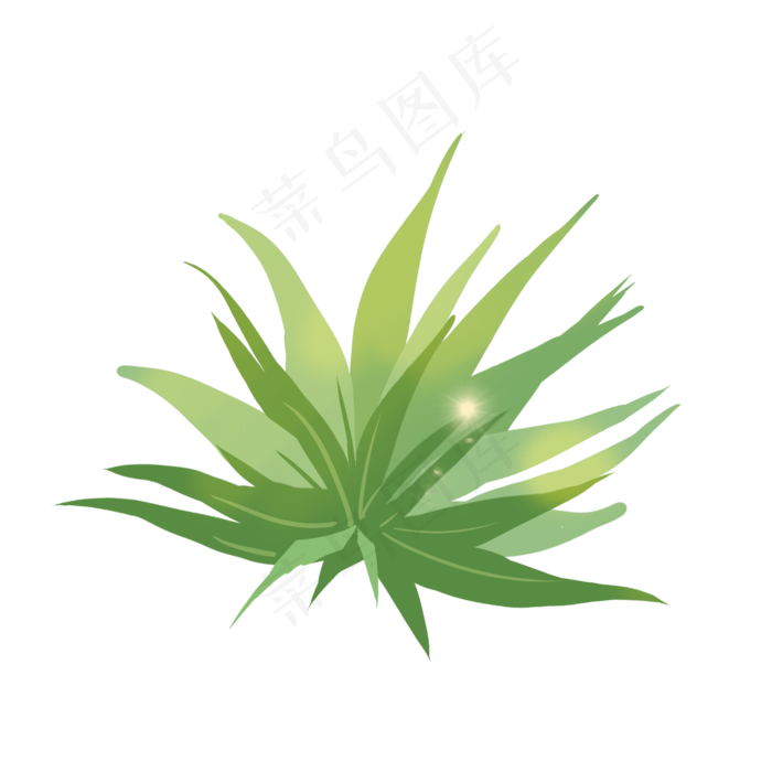绿植植物草树木插画,免抠元素