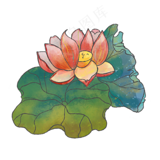 夏季植物手绘莲花荷花