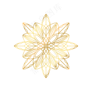 手绘金色线描花纹
