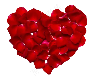 红玫瑰花瓣组成的爱心 红玫瑰花瓣组成的爱心