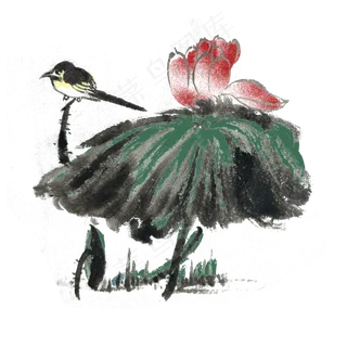 夏天小鸟立荷叶手绘水墨