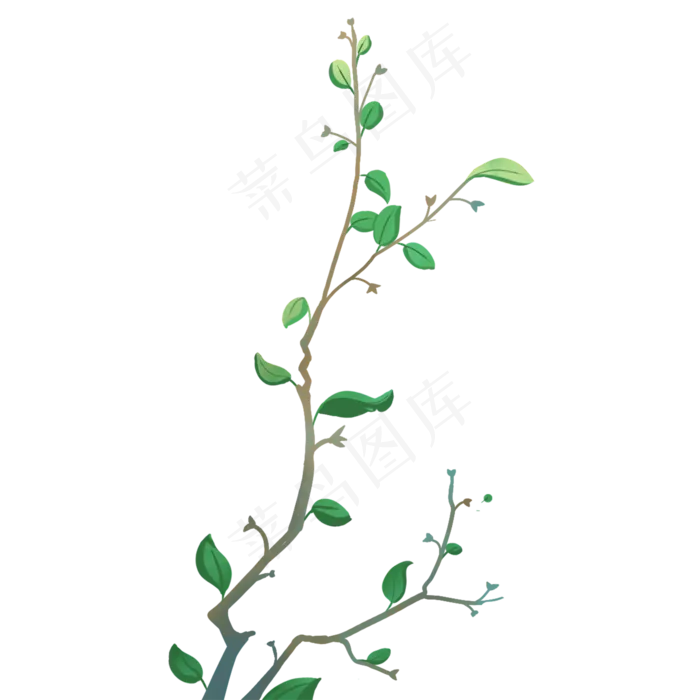 绿色植物叶子免抠图(2000X2000(DPI:300))psd模版下载