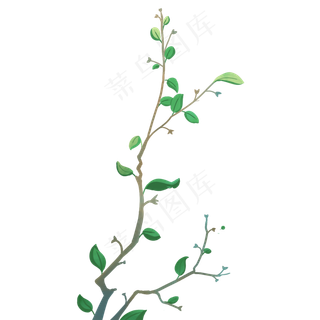 绿色植物叶子免抠图