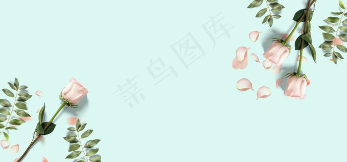 文艺清新花卉感恩节banner