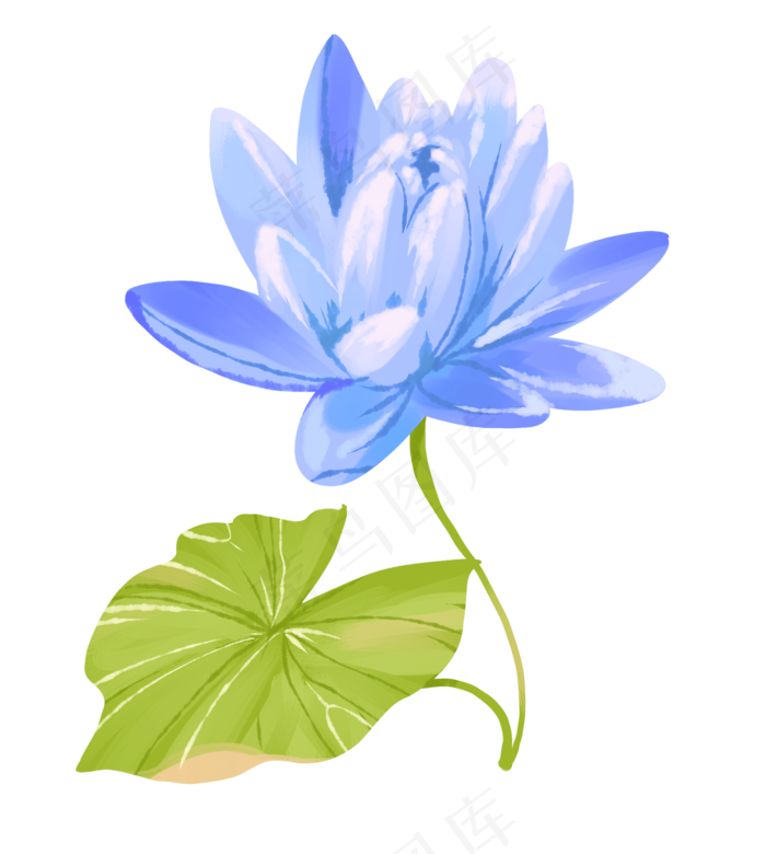 蓝色荷花卡通插画