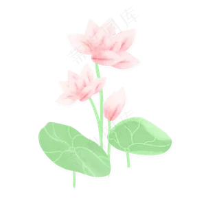 春夏荷花png素材