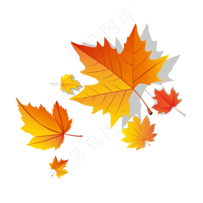矢量秋天枫叶(4000*4000px 300 dpi )ai矢量模版下载