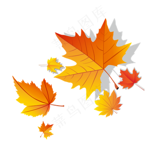 矢量秋天枫叶