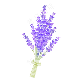 紫色拟物通用花束装饰图案