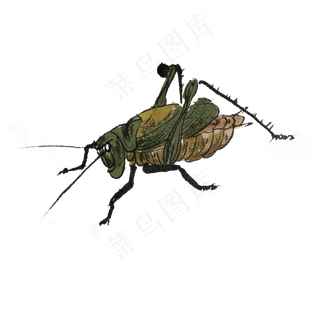 中国风水墨画蛐蛐手绘,免抠元素