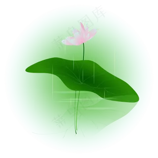 夏日荷花清新精美