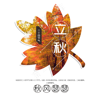 立秋二十四节气传统秋天落叶菜鸟图库原创