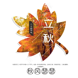 立秋二十四节气传统秋天落叶菜鸟图库原创