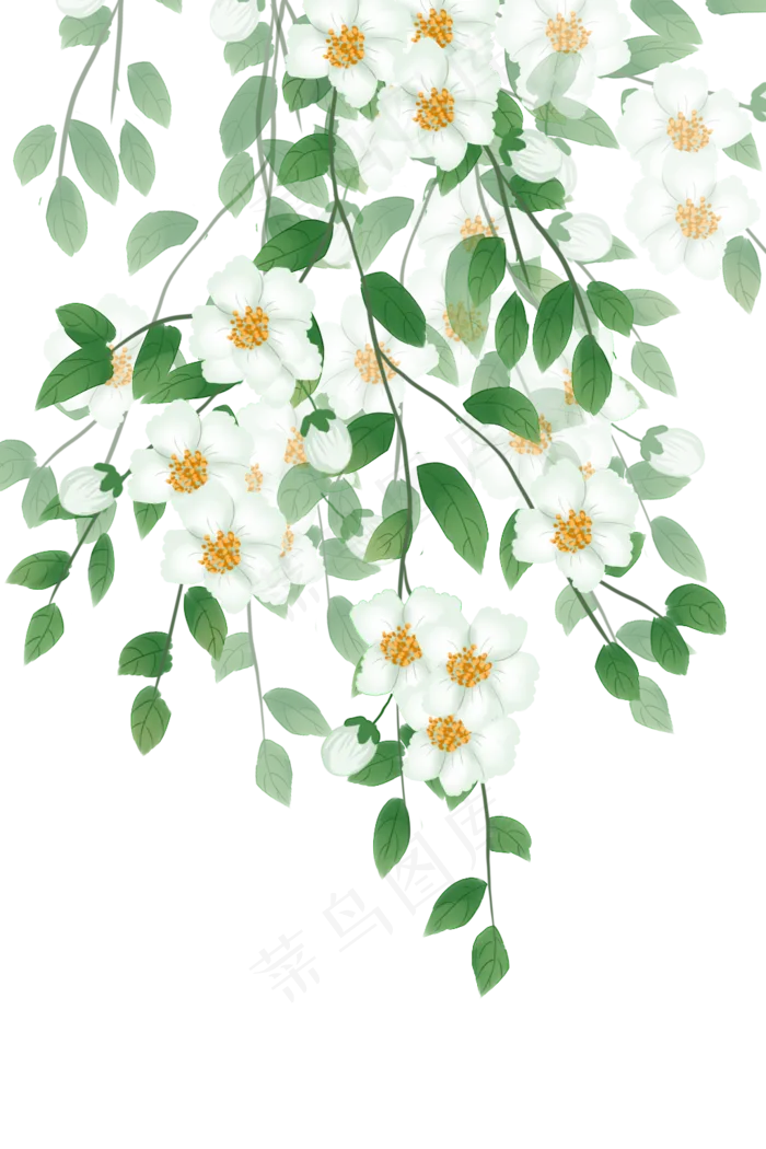 古风白色花卉