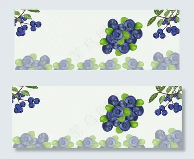 清新文艺水果生鲜食品蓝莓淘宝banner