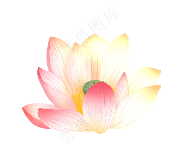 漂亮美丽荷花(1064X999(DPI:300))psd模版下载