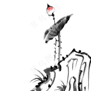 唯美的荷花花枝