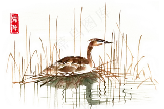 寒露芦苇荡中的水鸟,免抠元素