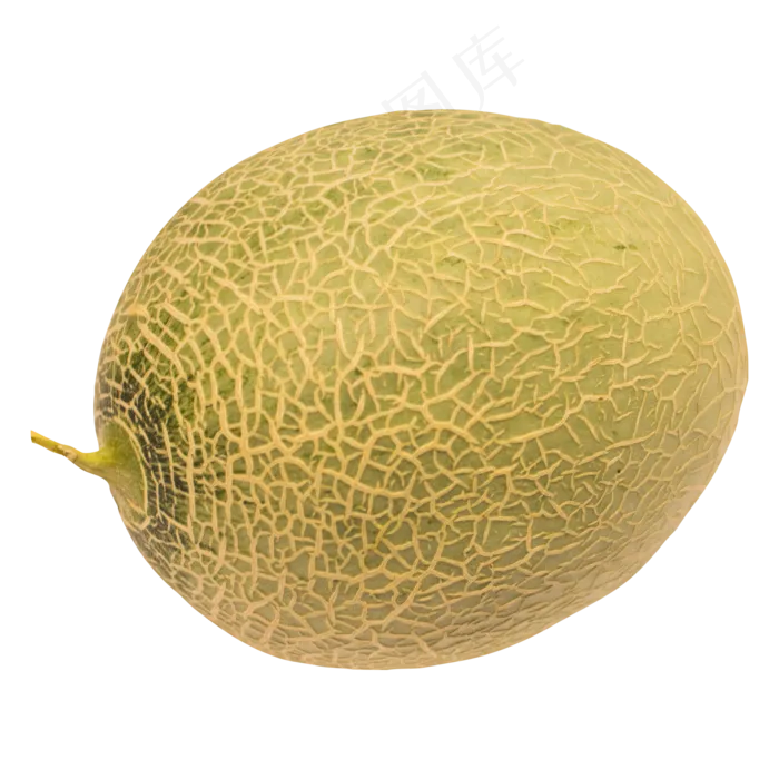 网纹哈密瓜(2000*2000px 300 dpi )