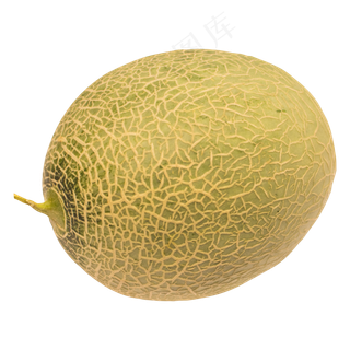 网纹哈密瓜