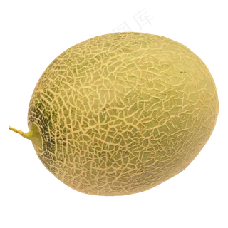 网纹哈密瓜