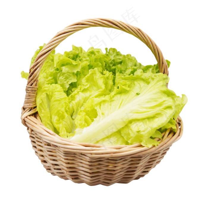 蔬菜生菜(4000*4000px 300 dpi )