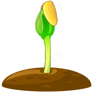 豆芽农作物植物生长种子