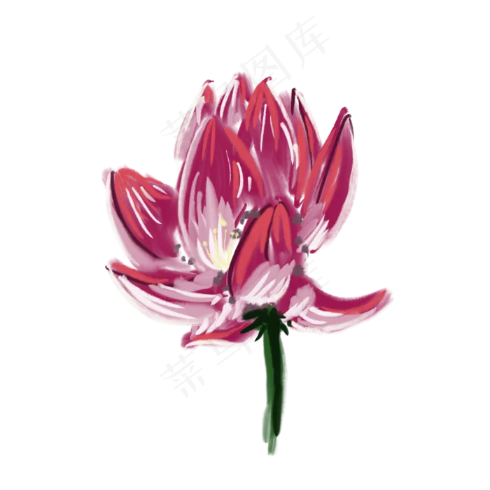 粉红色荷花绽放写实(2000X2000(DPI:132))psd模版下载