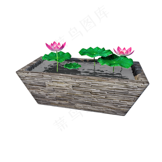 立体荷花池png图