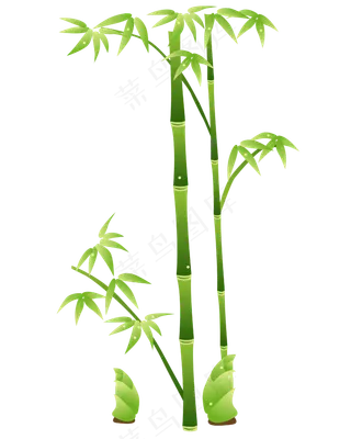 矢量中国风植物竹子