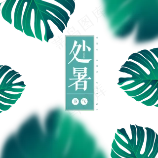 手绘处暑节气绿叶