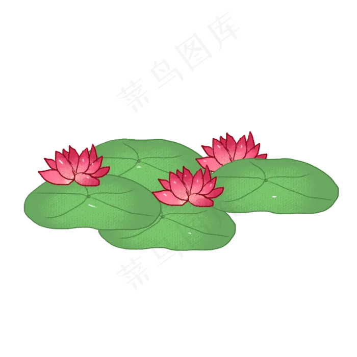 手绘花卉荷花png素材(2000X2000(DPI:72))psd模版下载