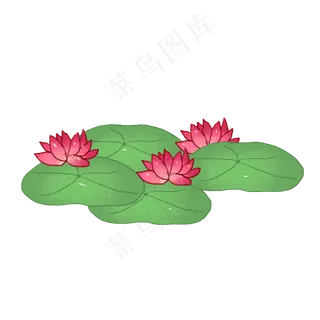 手绘花卉荷花png素材