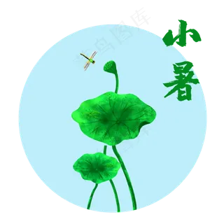 节气小暑池塘荷叶蜻蜓,免抠元素