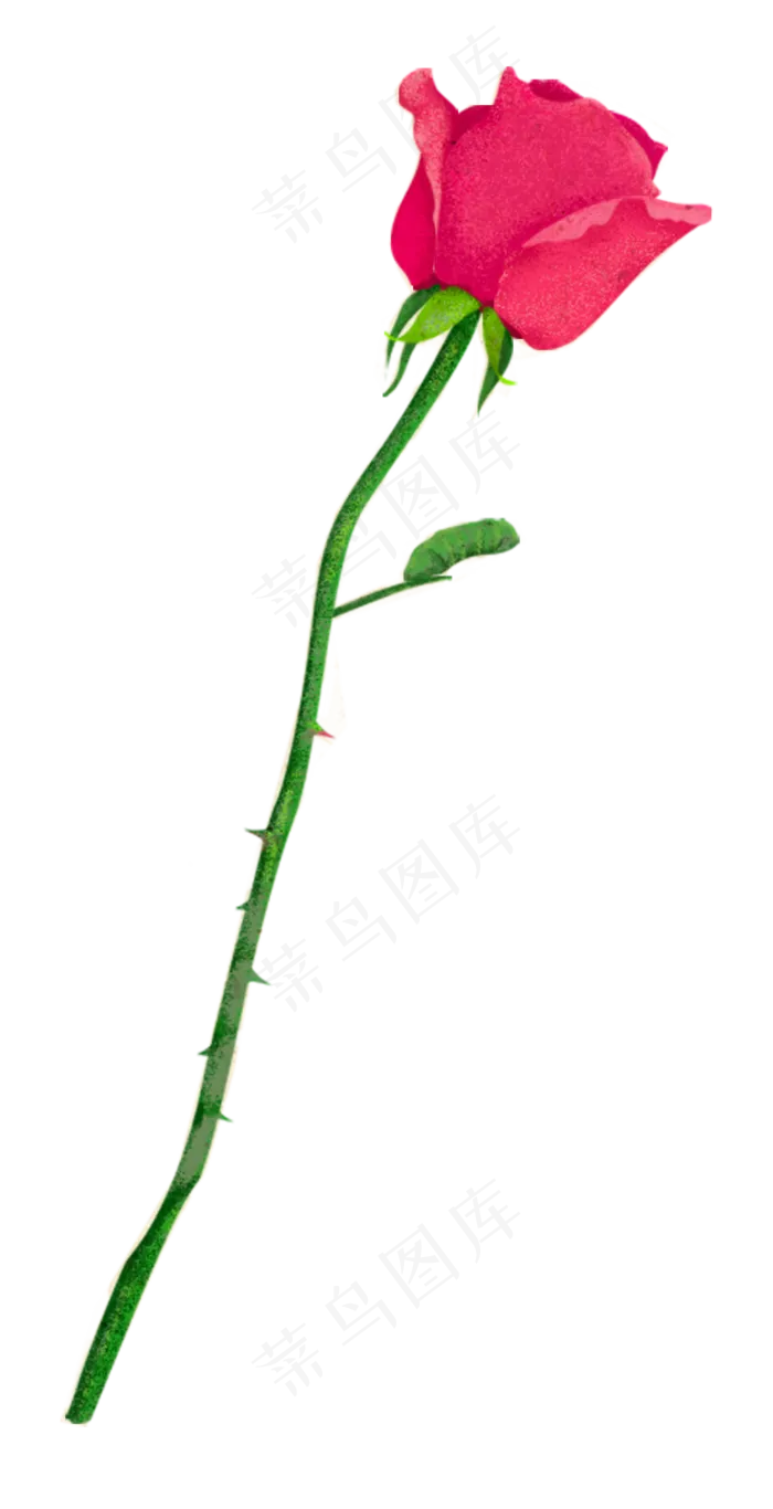 情人节红色玫瑰浪漫手绘风免抠下(2000X3904(DPI:300))psd模版下载