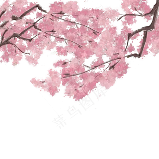 花卉手绘樱花唯美春季樱花烂漫中,免抠元素