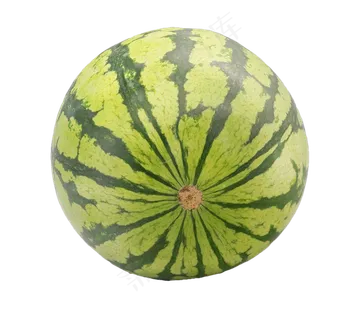 一个水果西瓜