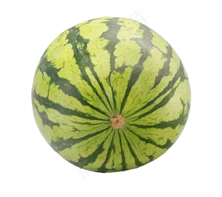 一个水果西瓜