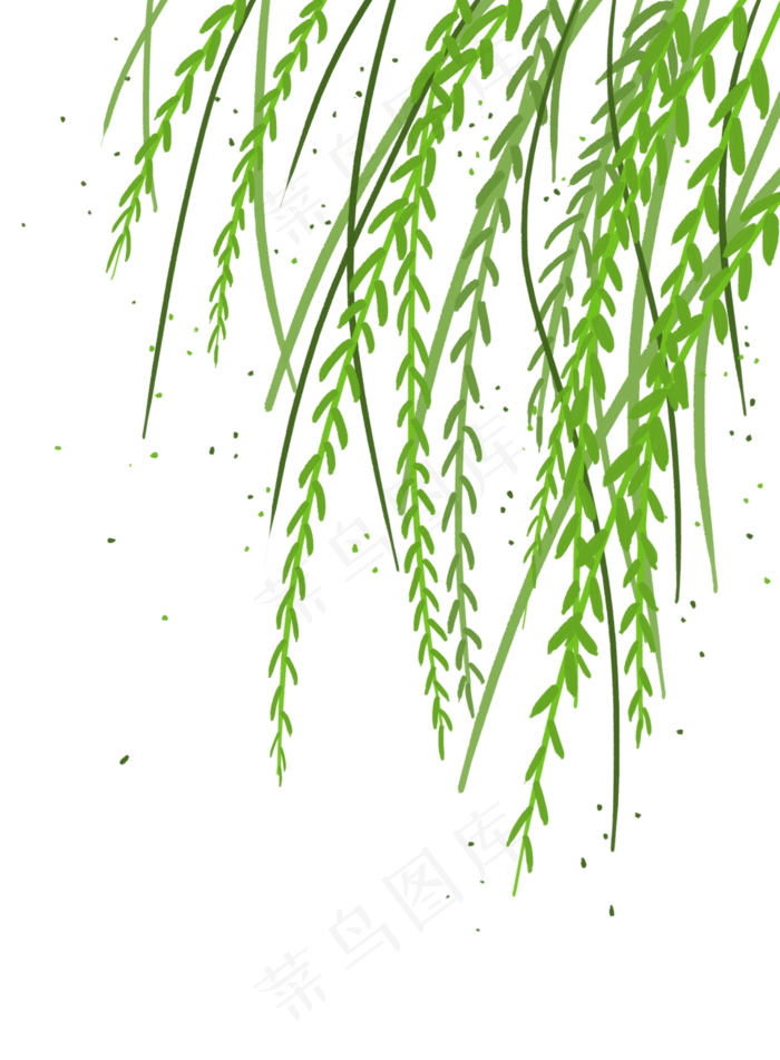 清明节春天绿色柳叶