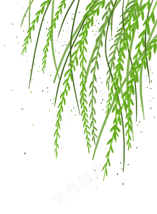 清明节春天绿色柳叶