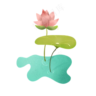 古典荷花水珠荷叶