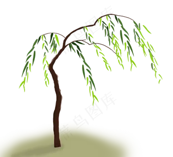 春天的垂柳发新芽,免抠元素